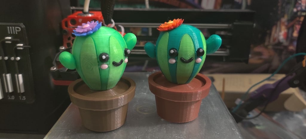 WIDRN Cactus