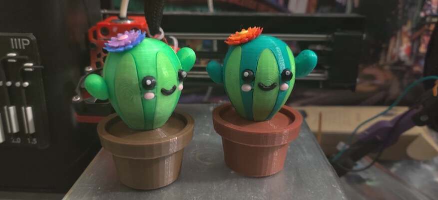WIDRN Cactus | 3d print model