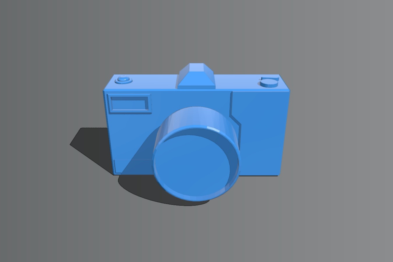 Toy Camera