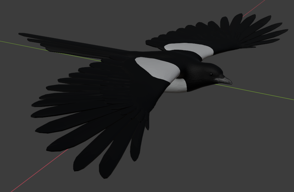 Magpie in flight