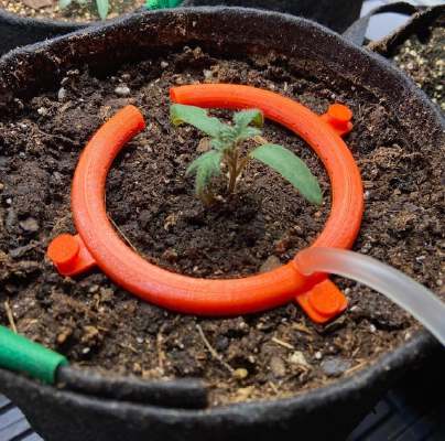 Drip Irrigation Ring | 3d print model