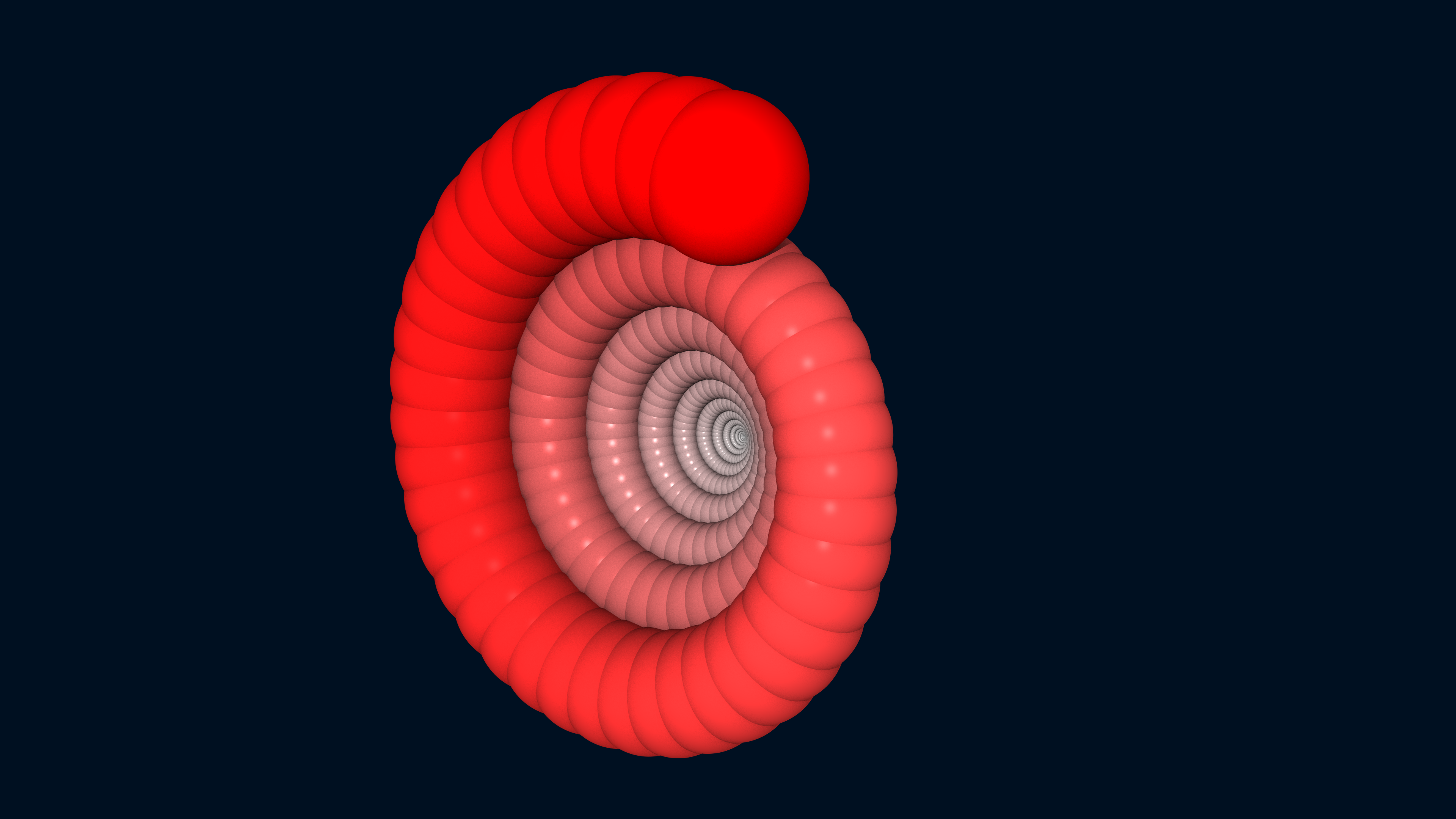 Ammonite