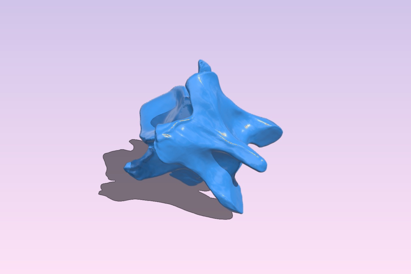 Neck Vertebra