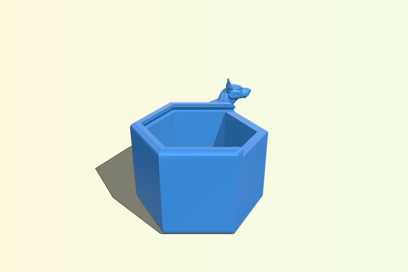 Dog's Pill Box