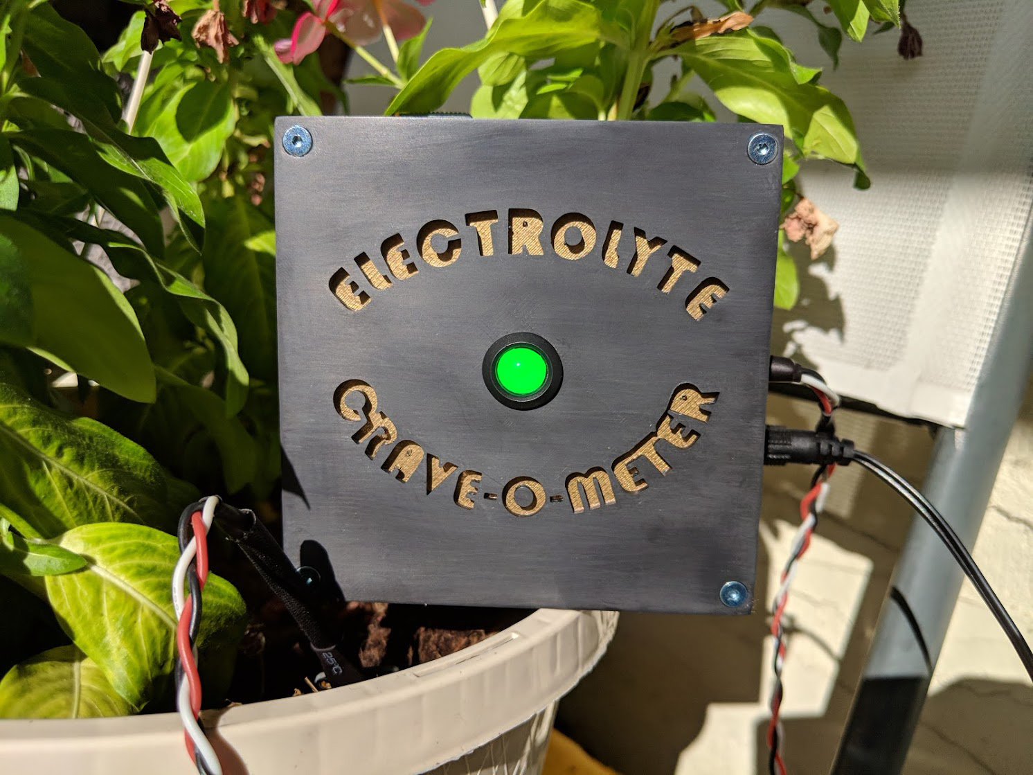 Electrolyte Crave-o-Meter
