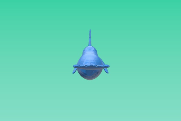 narwhale | 3d print model