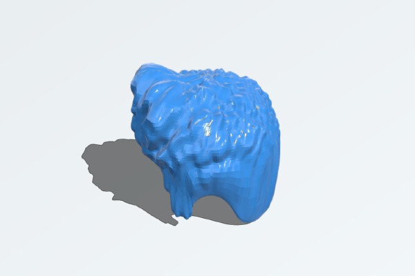 Flock of Seagulls Hair | 3d print model