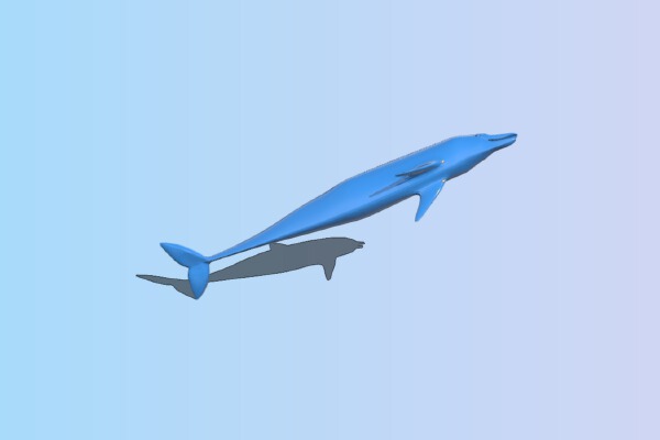 Dolphin fish | 3d print model