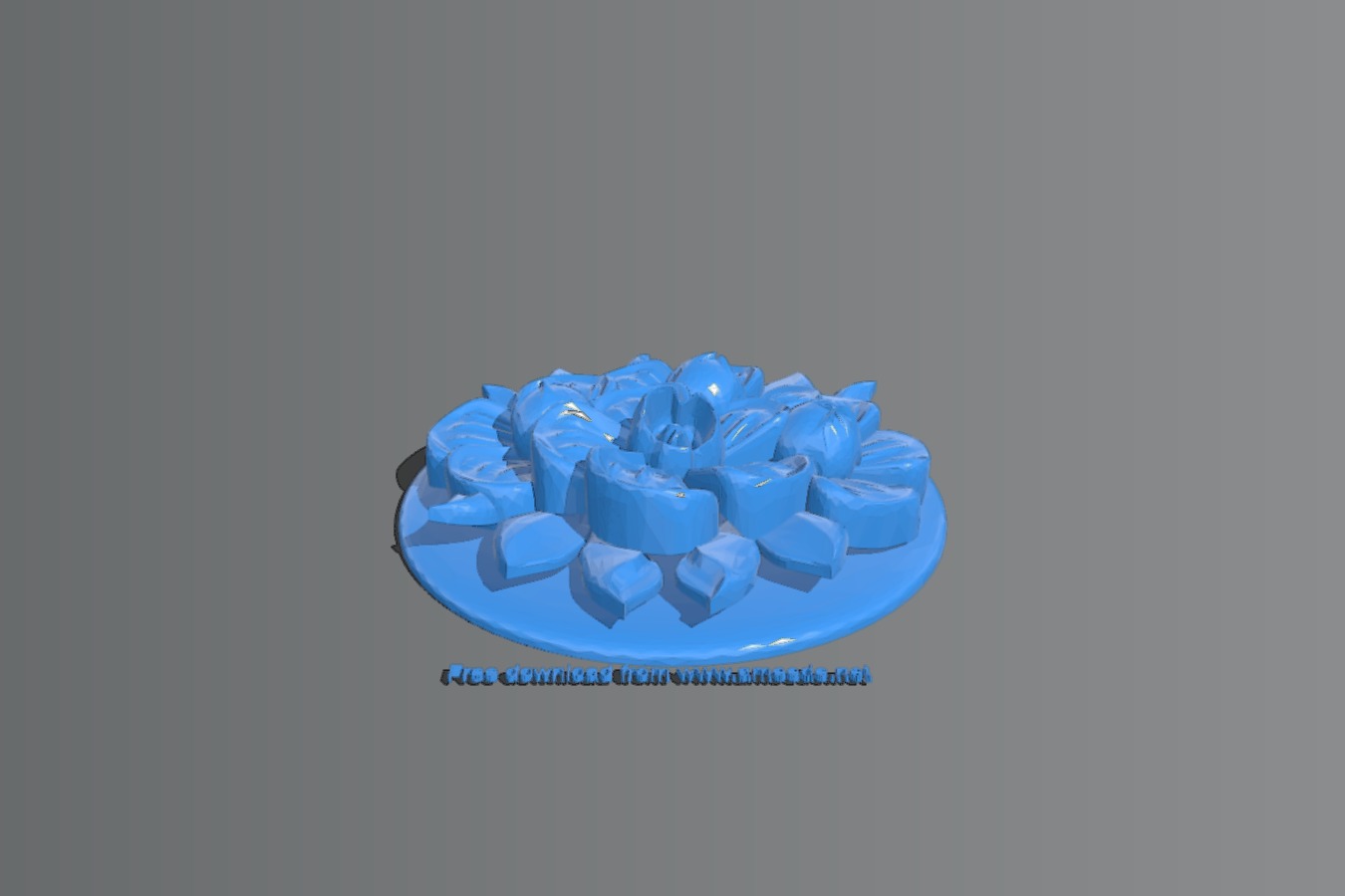 Round pattern