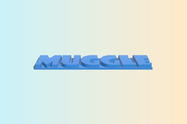 Muggle Name Plate | 3d print model