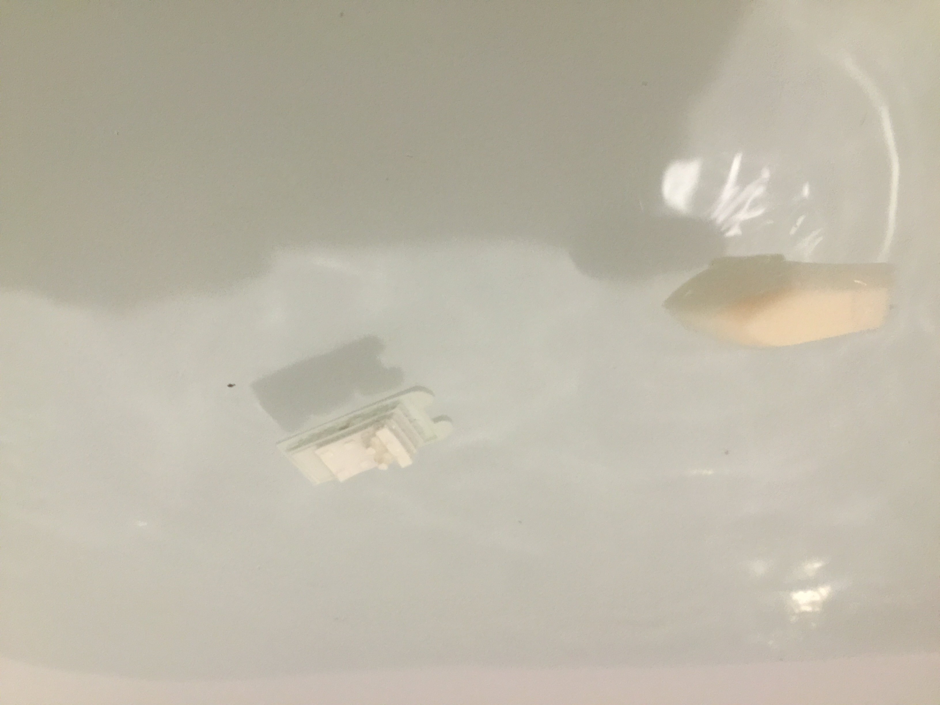 f19bed0c-2028-4fe4-bcee-7ed6bc96d36c