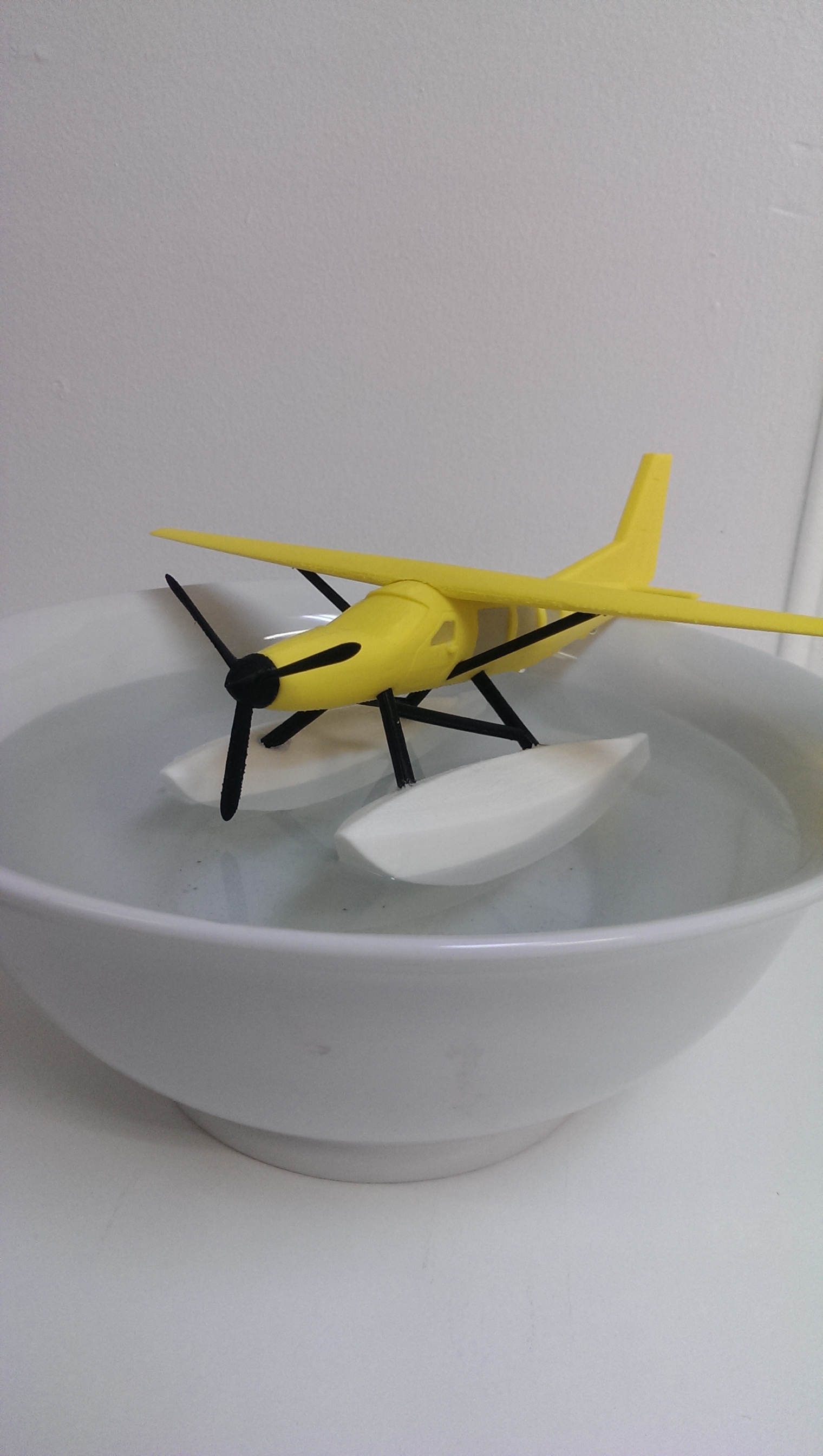 Seaplane