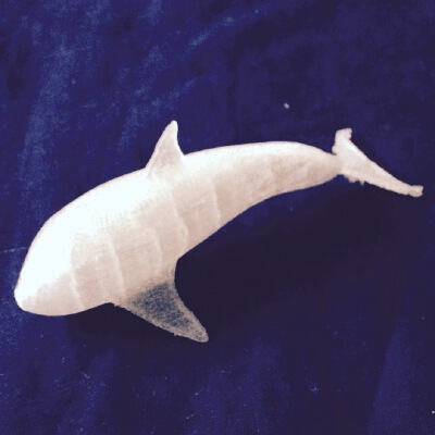 Orca dolphin | 3d print model
