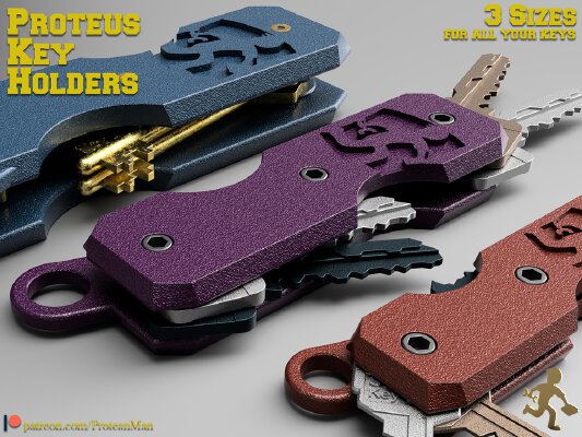 Proteus Key Holder | 3d print model