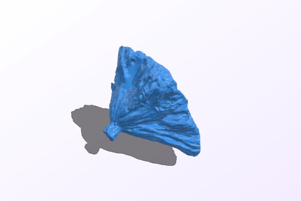 Lotus pod dried | 3d print model