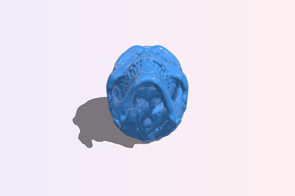 Skull | 3d print model