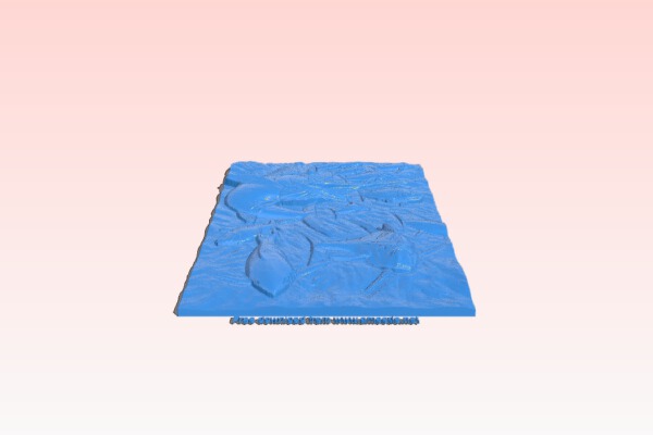 Fish picture | 3d print model