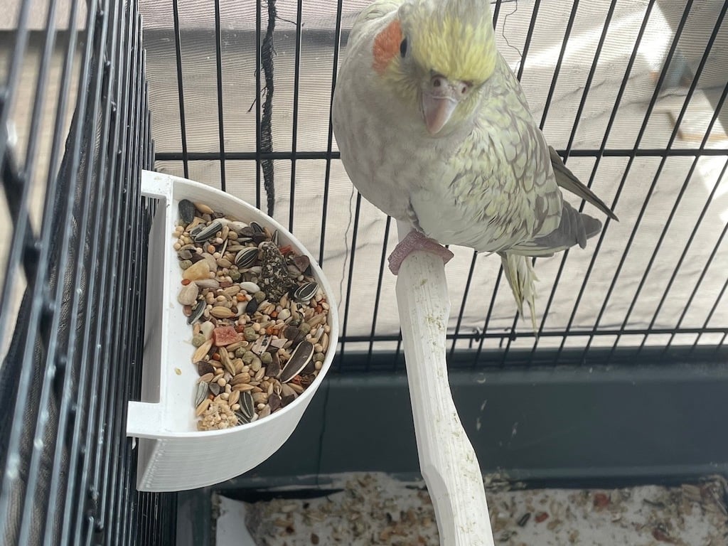 Bird food bowl (deep _ slanted insert), long version added