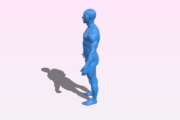 Muscular man | 3d print model