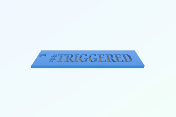 TRIGGERED Key chain | 3d print model