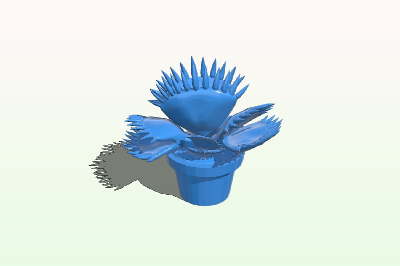 Potted carnivorous plant