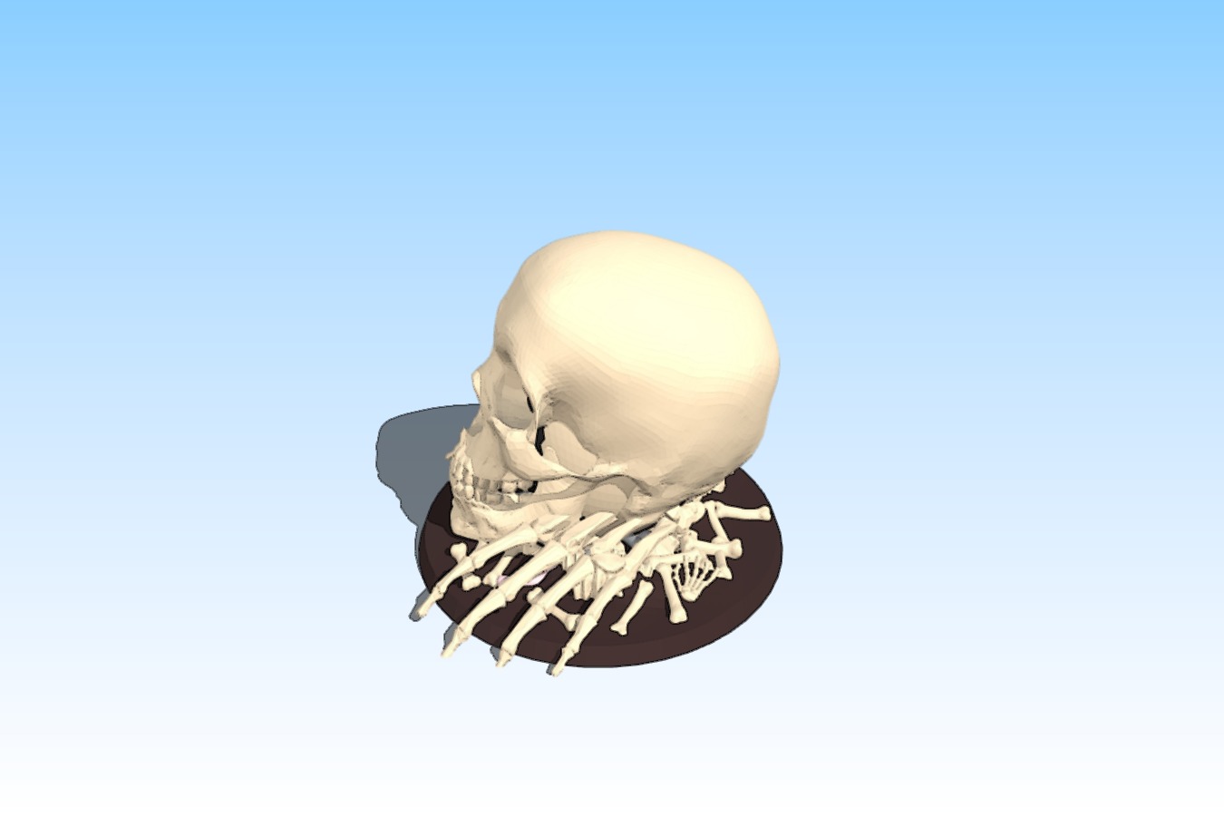 Skull Dice Holder with screw on top