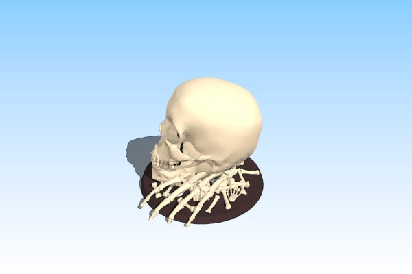 Skull Dice Holder with screw on top | 3d print model