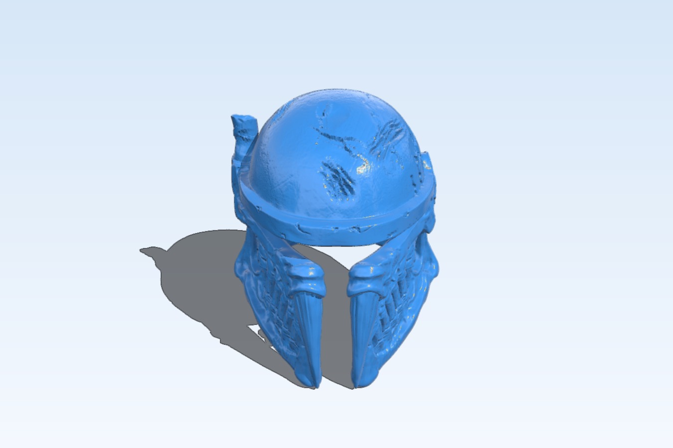 Bone helmet