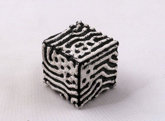 Reaction-Diffusion Cube | 3d print model