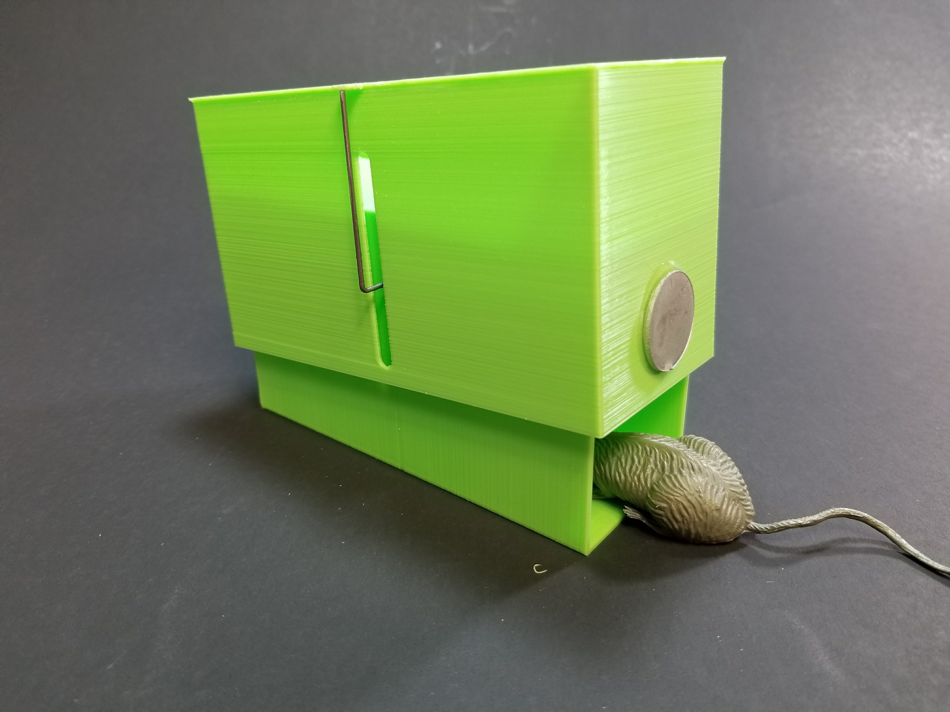 Live Catch Mouse Trap