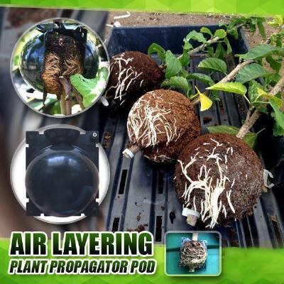 Reusable Plant Root Growing | 3d print model
