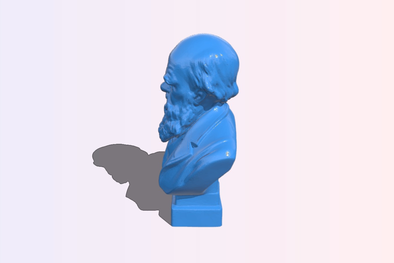 Darwin Bust