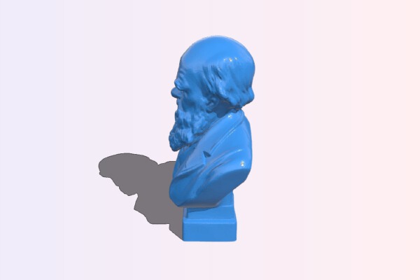 Darwin Bust | 3d print model