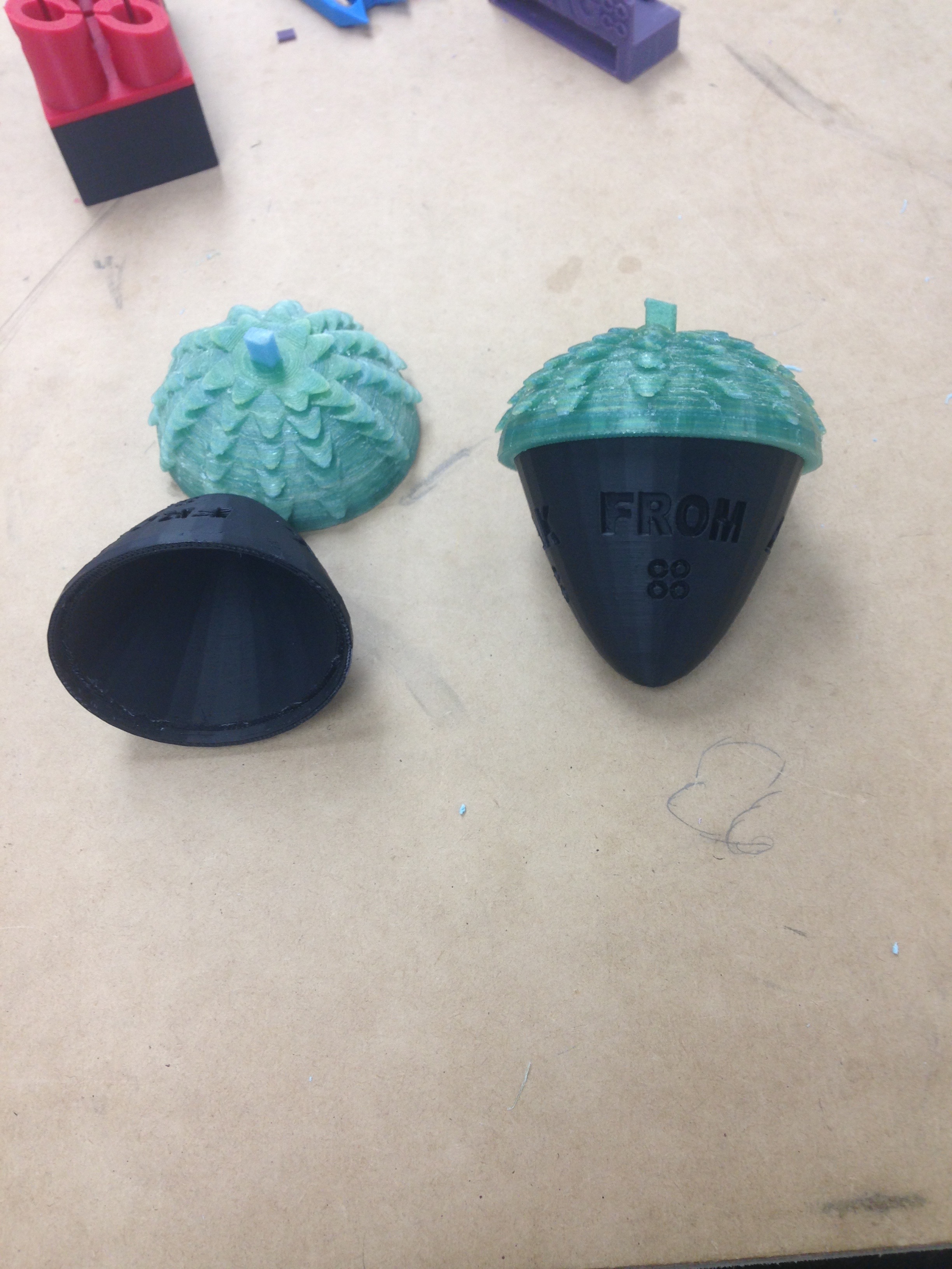 Acorn