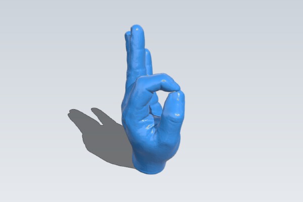 Doubleplusgood -- Hands 'Okay' Pair, with Lefty Version | 3d print model