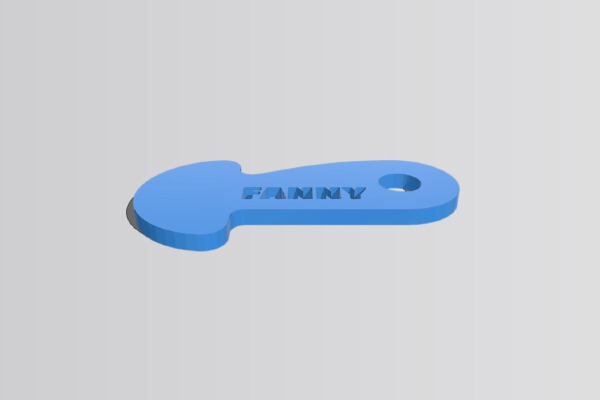 Passe caddie _ Removable shopping trolley token for Europe | 3d print model