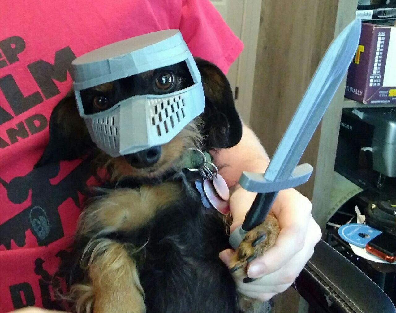 Deus Vult Dog: The Costume