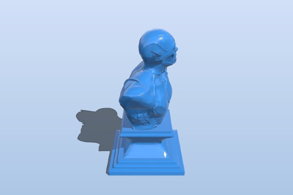 Flash bust (Remix) | 3d print model