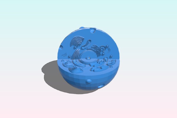 animal cell _ eukaryotic cell -model | 3d print model