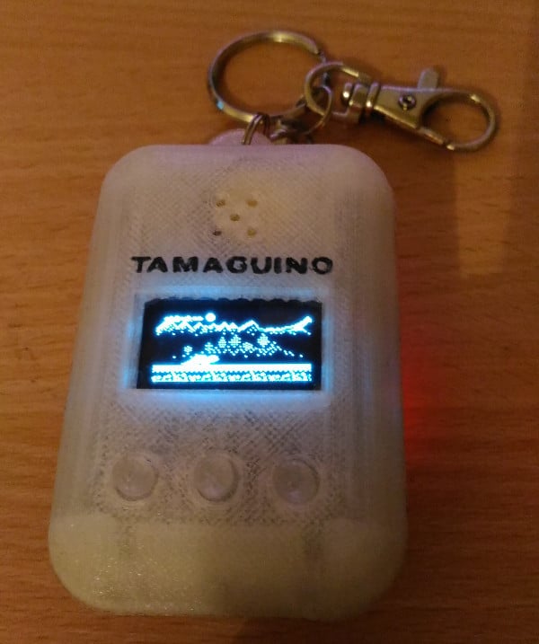 Tamaguino case