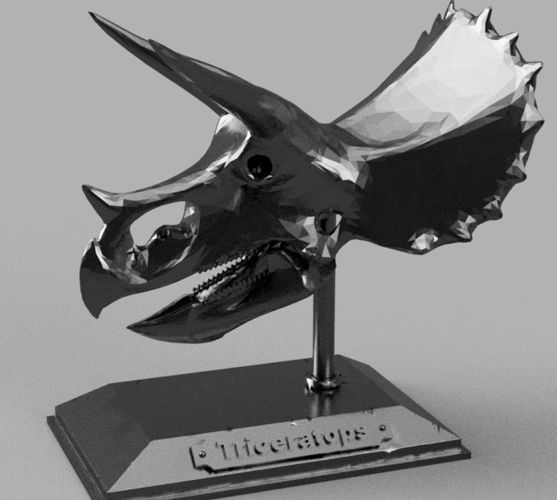 Triceratops Skull