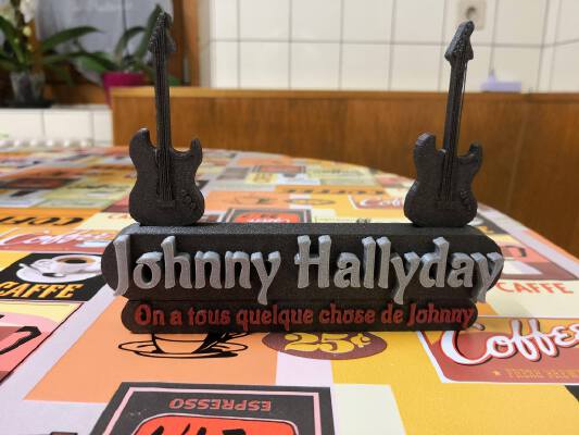 Johnny Hallyday | 3d print model