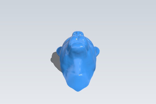 Leopard Head | 3d print model
