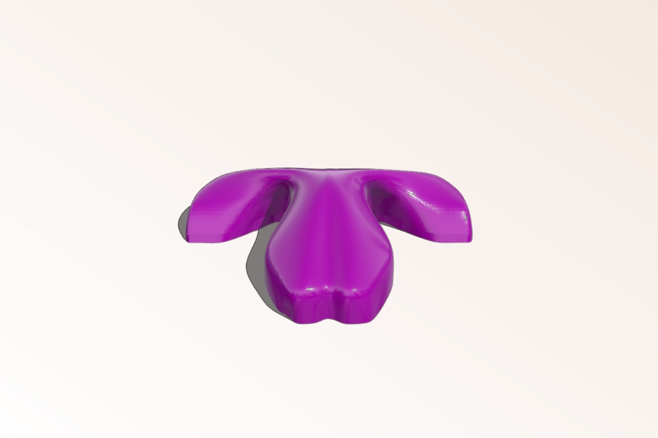 Cat nose - version 10