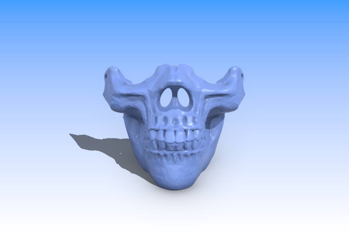 Skull