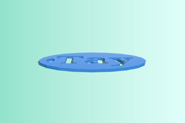 keychain tnw | 3d print model
