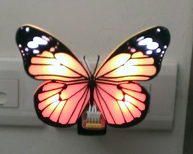 Butterfly