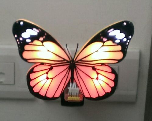 Butterfly | 3d print model