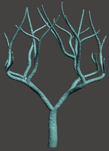 Tree-Coral
