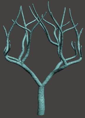 Tree-Coral | 3d print model